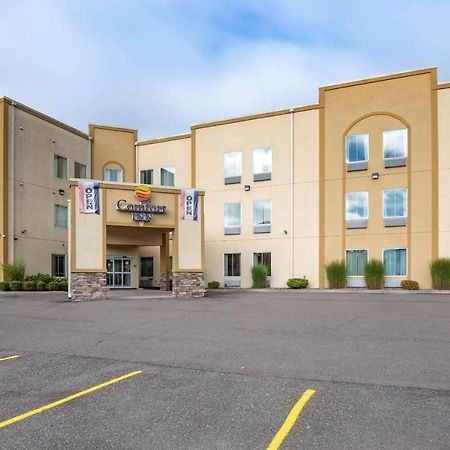 Comfort Inn Apalachin - Binghamton W Route 17 Экстерьер фото
