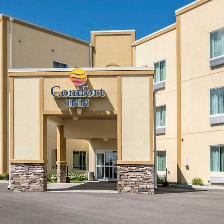 Comfort Inn Apalachin - Binghamton W Route 17 Экстерьер фото