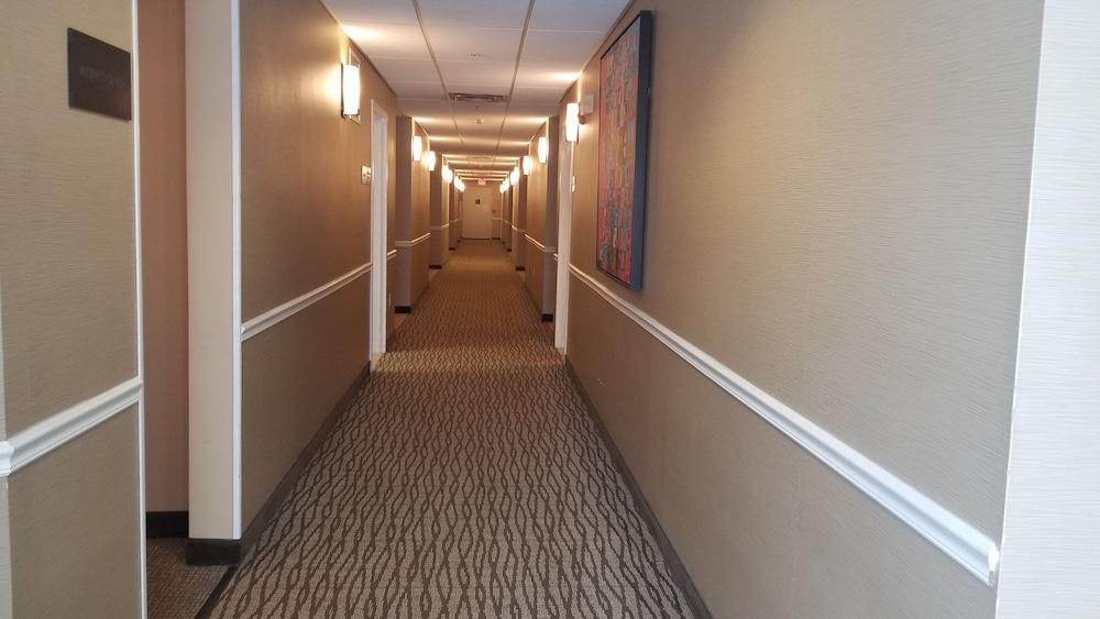 Comfort Inn Apalachin - Binghamton W Route 17 Экстерьер фото