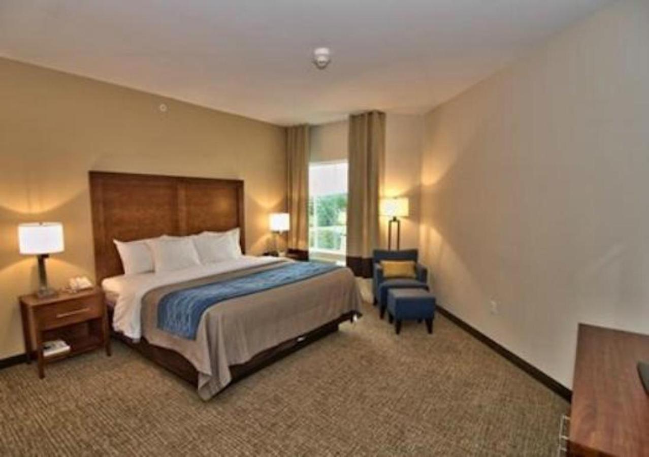 Comfort Inn Apalachin - Binghamton W Route 17 Экстерьер фото