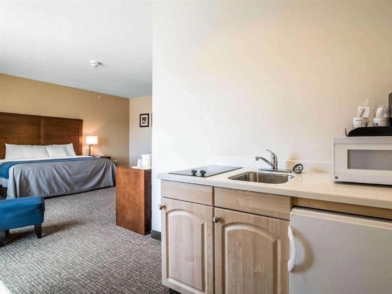 Comfort Inn Apalachin - Binghamton W Route 17 Экстерьер фото