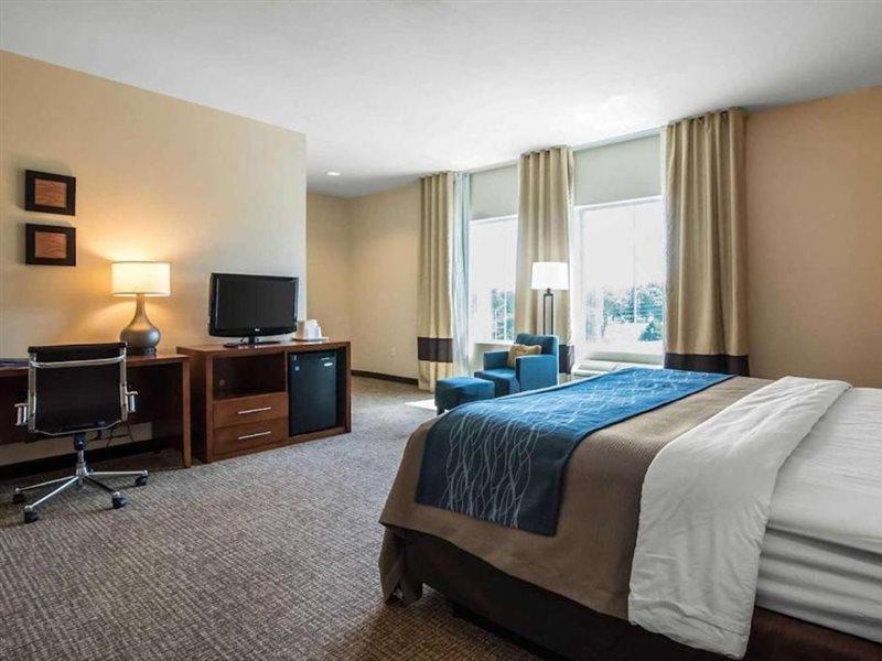 Comfort Inn Apalachin - Binghamton W Route 17 Экстерьер фото