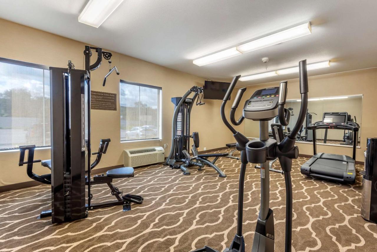 Comfort Inn Apalachin - Binghamton W Route 17 Экстерьер фото