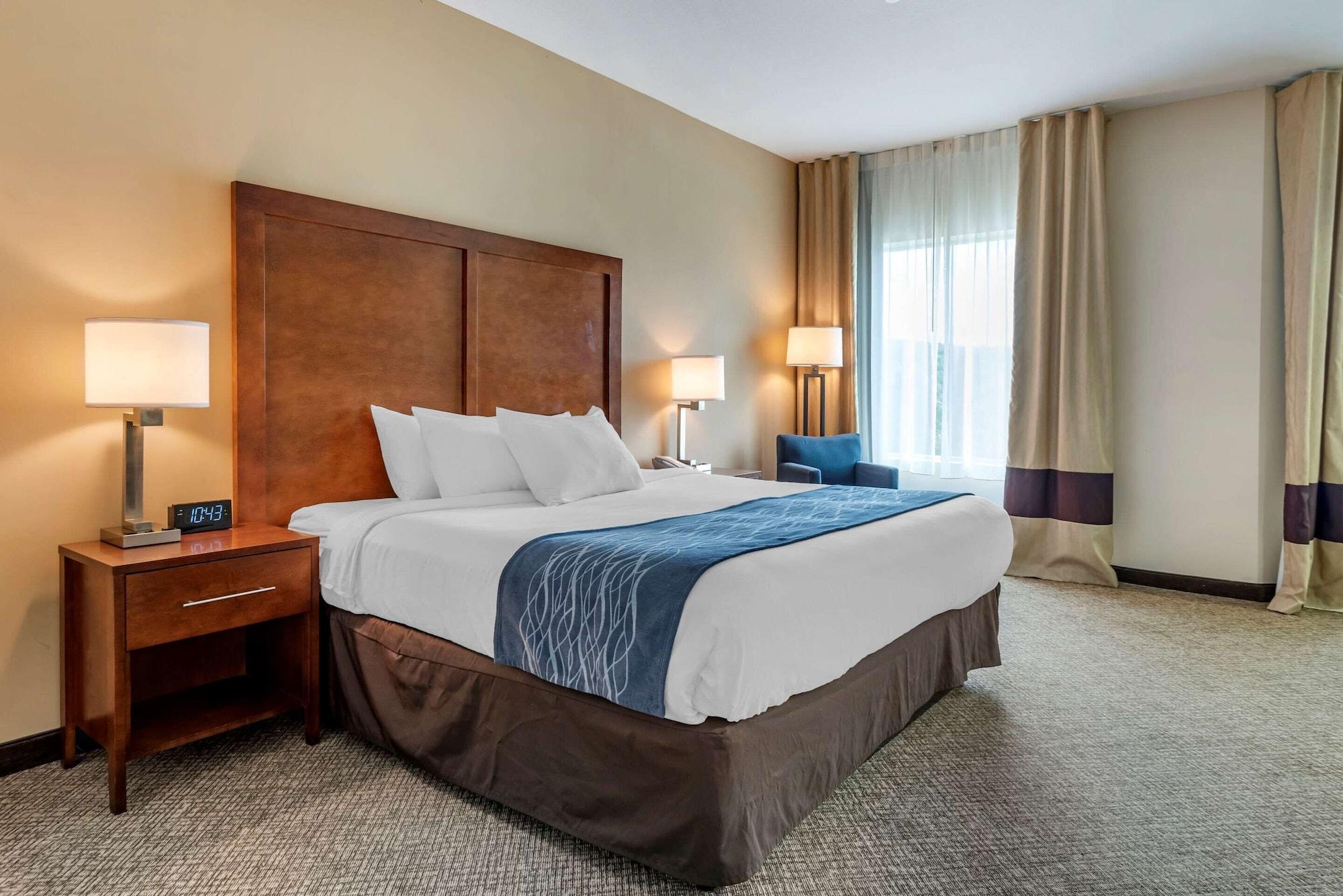 Comfort Inn Apalachin - Binghamton W Route 17 Экстерьер фото