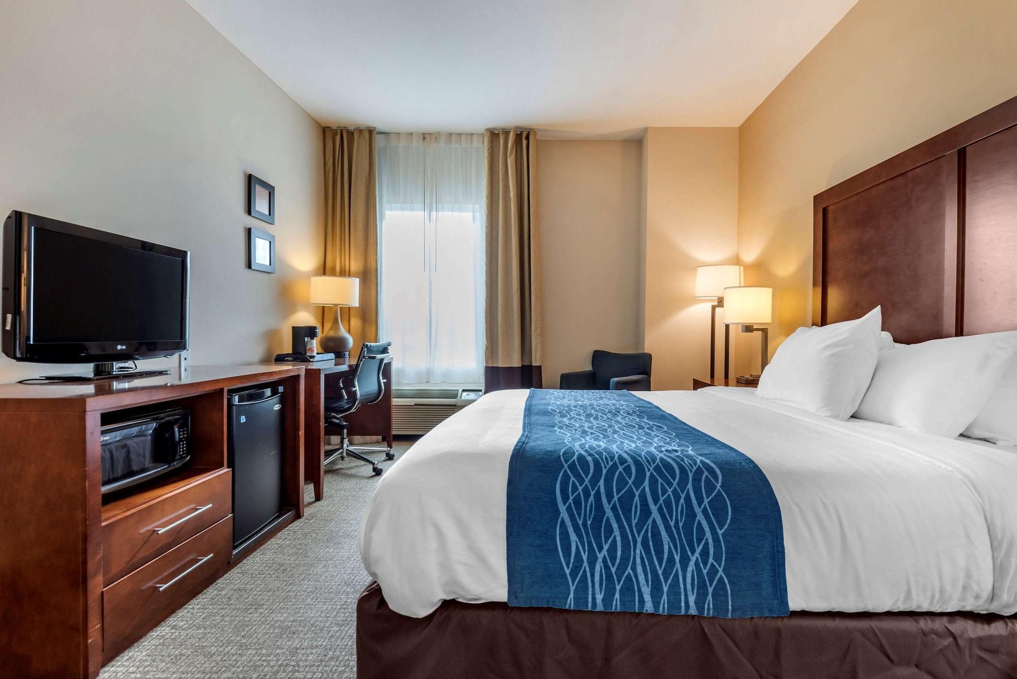 Comfort Inn Apalachin - Binghamton W Route 17 Экстерьер фото