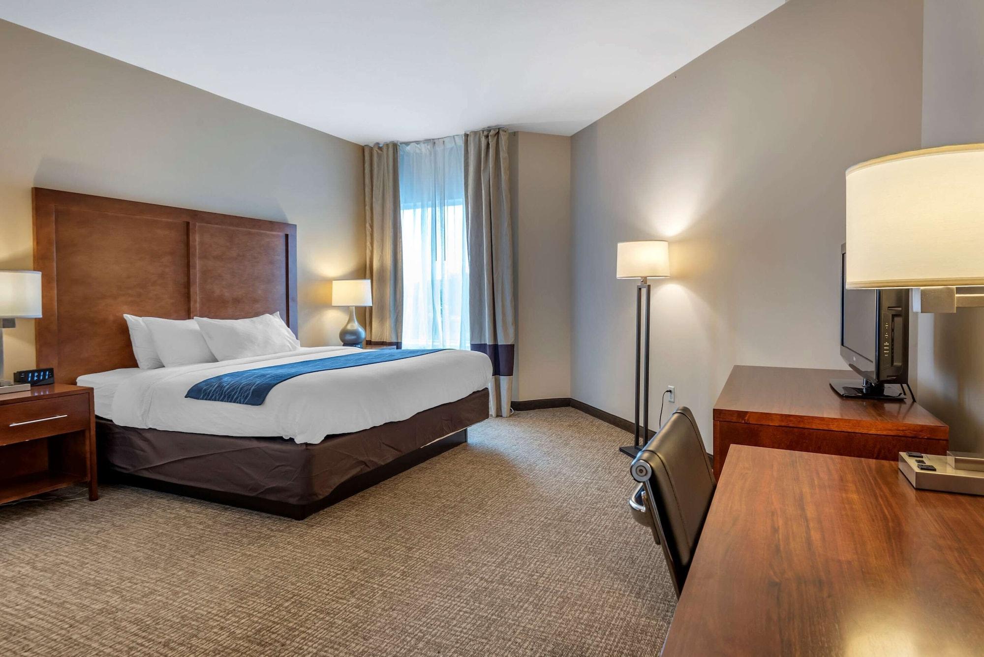 Comfort Inn Apalachin - Binghamton W Route 17 Экстерьер фото