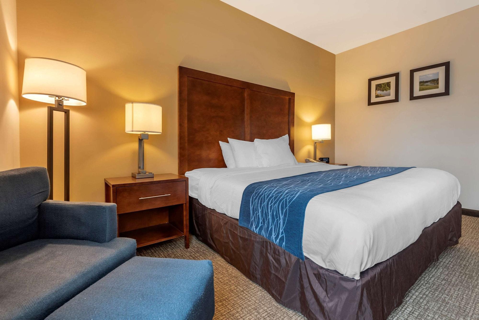 Comfort Inn Apalachin - Binghamton W Route 17 Экстерьер фото