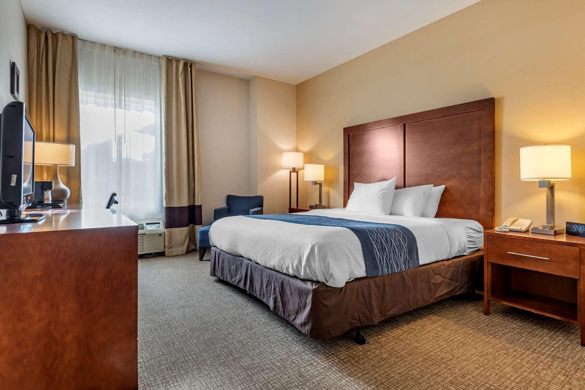 Comfort Inn Apalachin - Binghamton W Route 17 Экстерьер фото