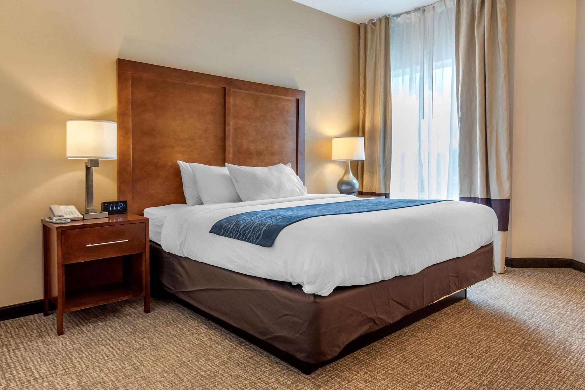 Comfort Inn Apalachin - Binghamton W Route 17 Экстерьер фото