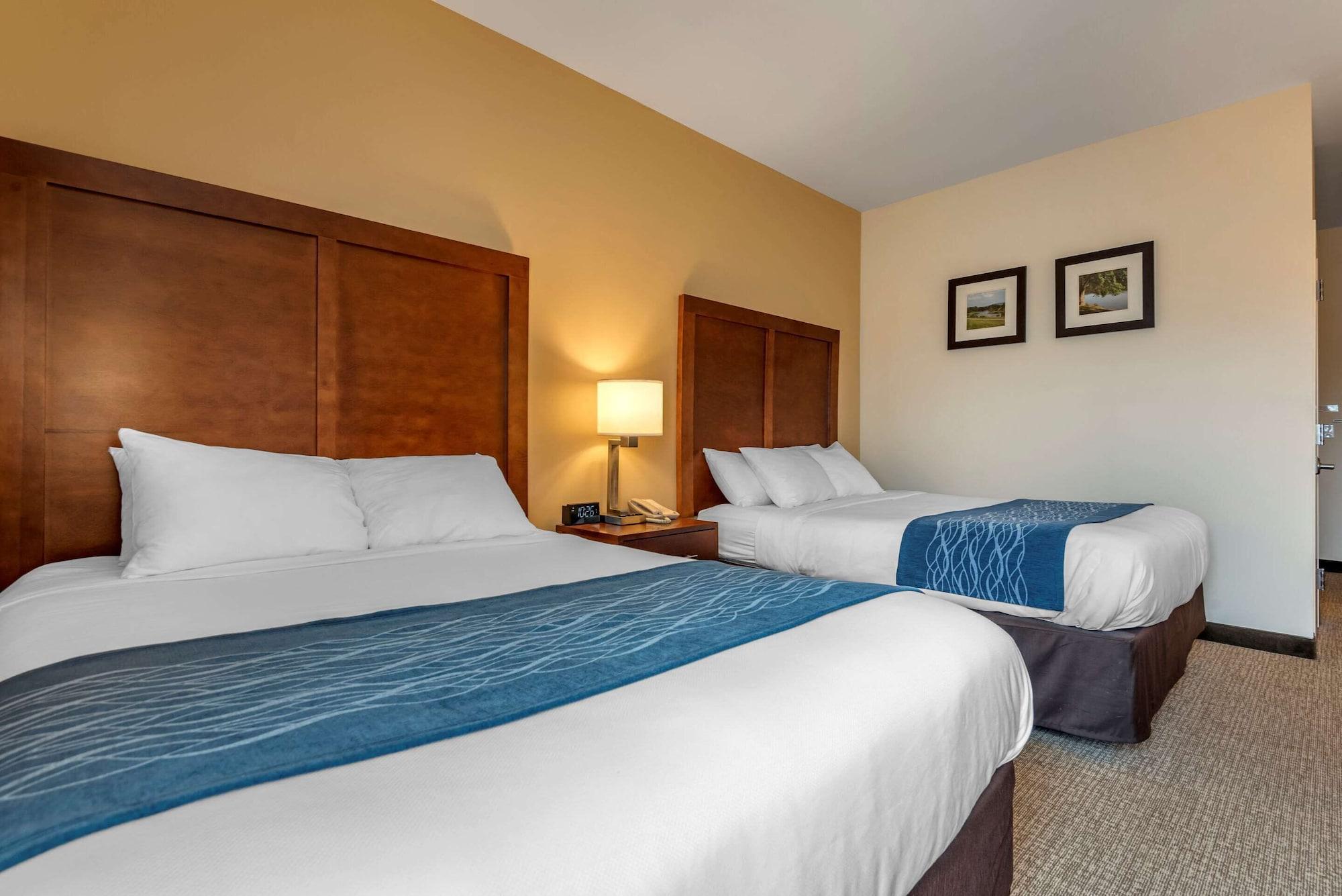 Comfort Inn Apalachin - Binghamton W Route 17 Экстерьер фото