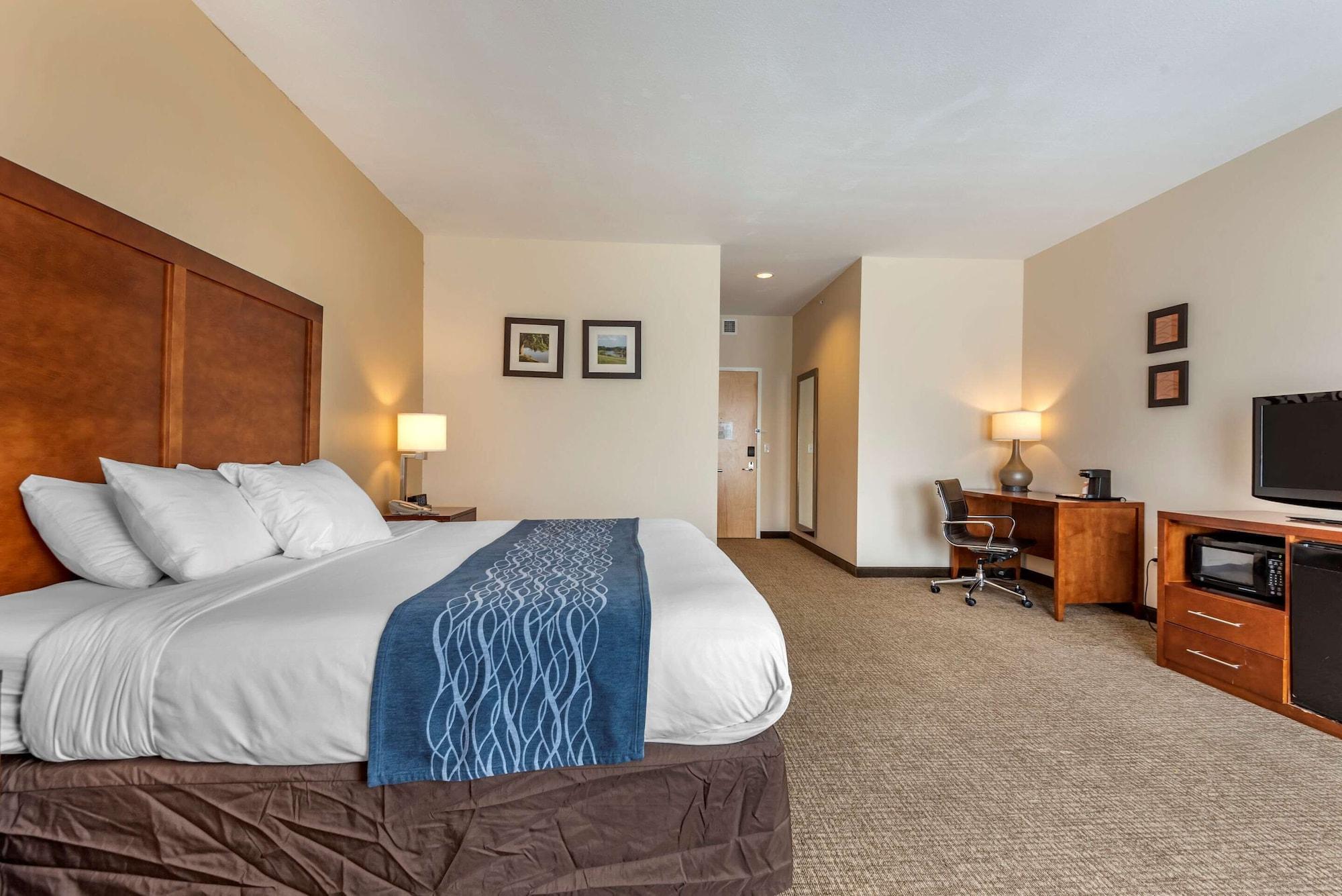 Comfort Inn Apalachin - Binghamton W Route 17 Экстерьер фото