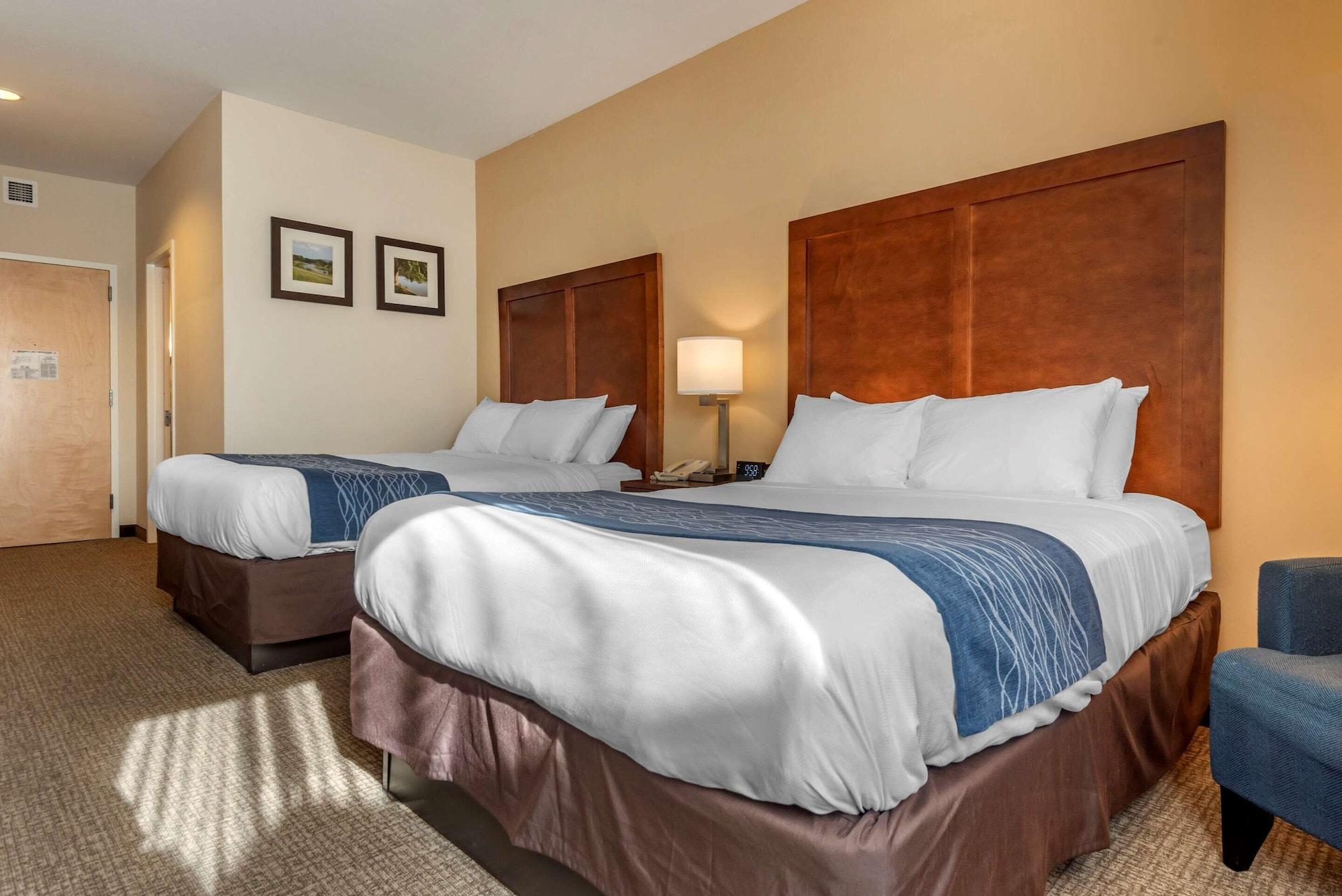 Comfort Inn Apalachin - Binghamton W Route 17 Экстерьер фото