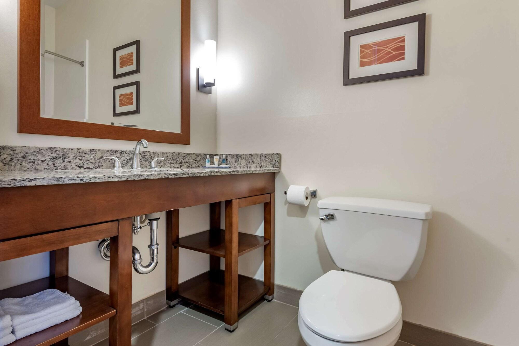 Comfort Inn Apalachin - Binghamton W Route 17 Экстерьер фото