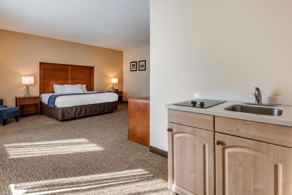 Comfort Inn Apalachin - Binghamton W Route 17 Экстерьер фото