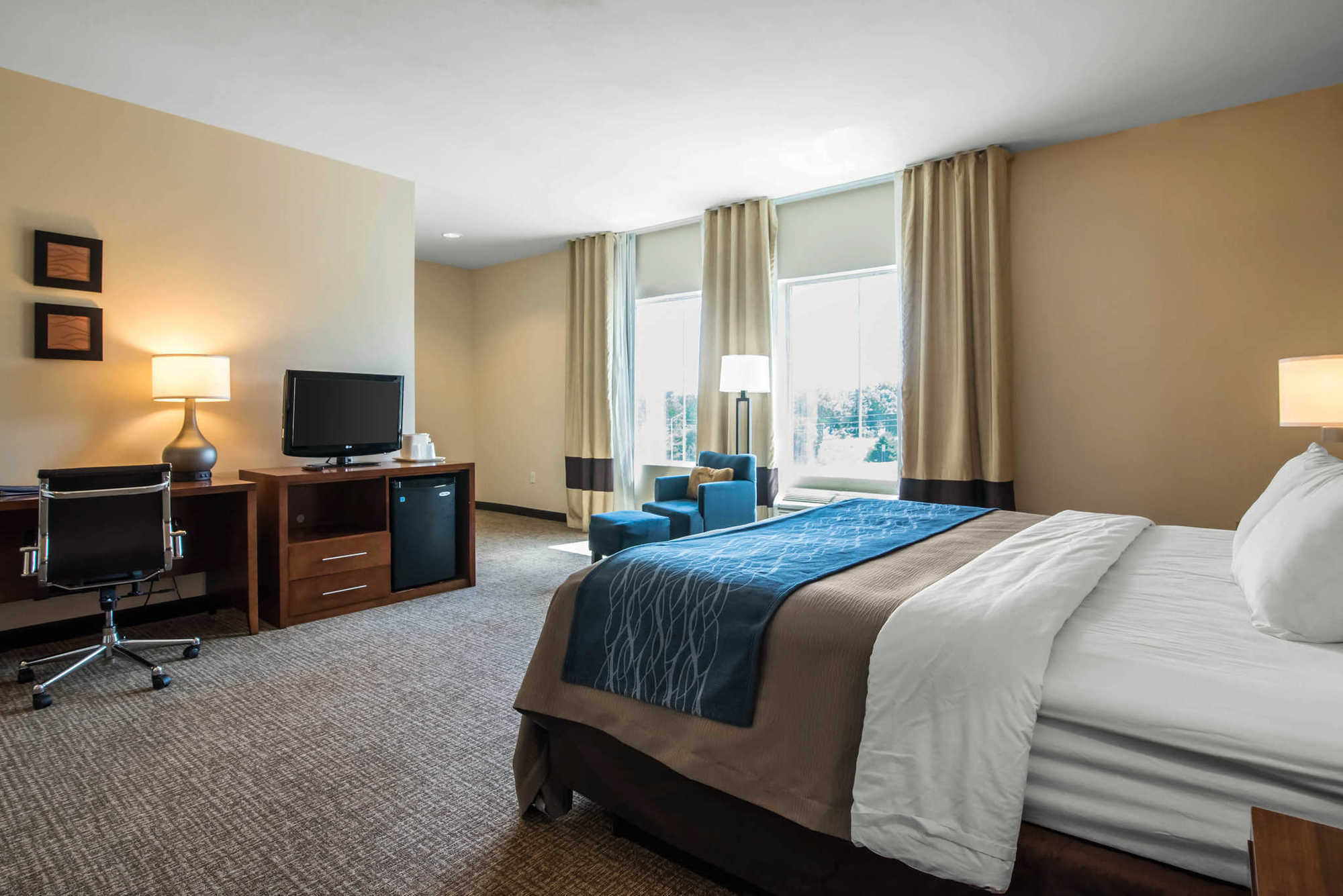 Comfort Inn Apalachin - Binghamton W Route 17 Номер фото