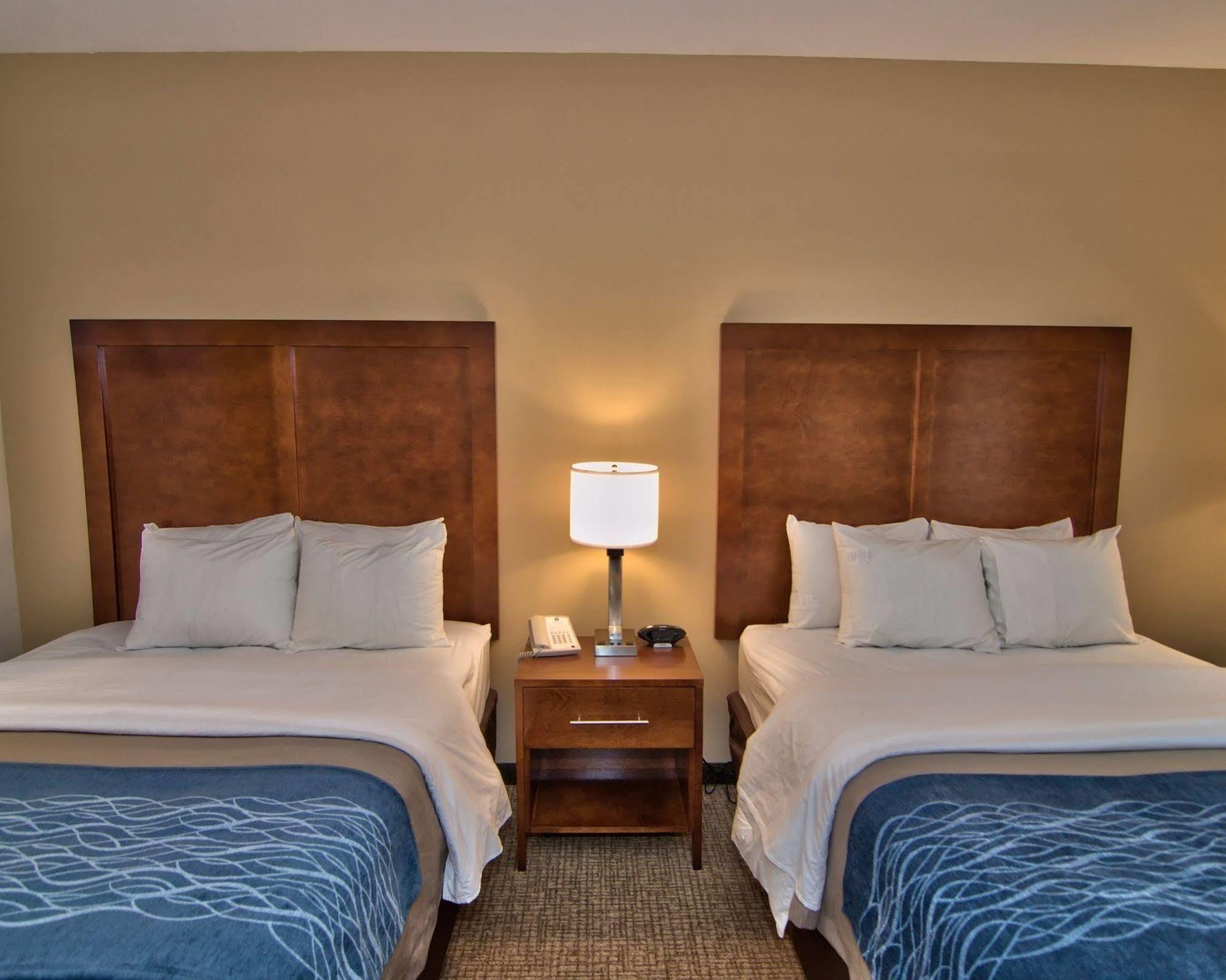 Comfort Inn Apalachin - Binghamton W Route 17 Экстерьер фото